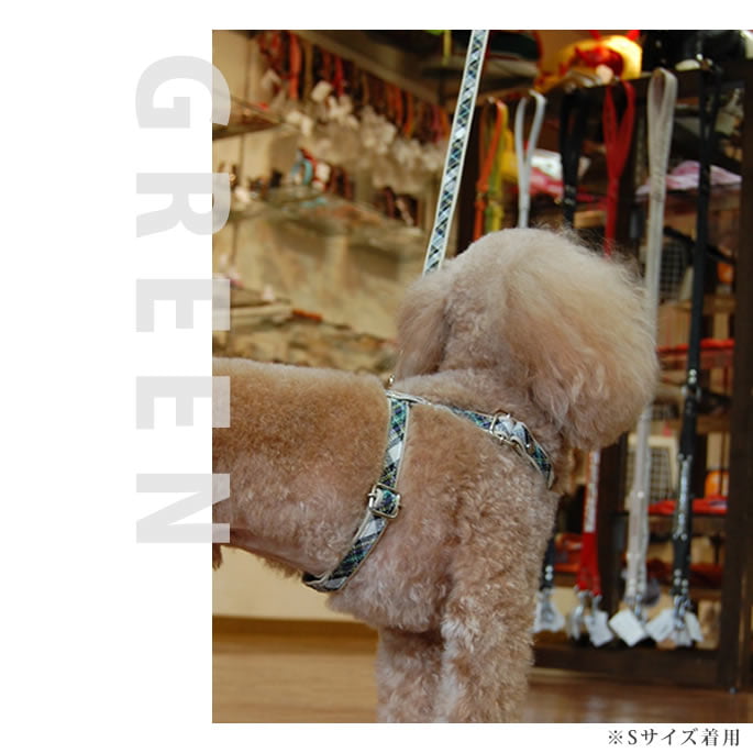 �������ѥ꡼�ɡ�ASHU���ȥ�åɡ��꡼�ɡ�S������