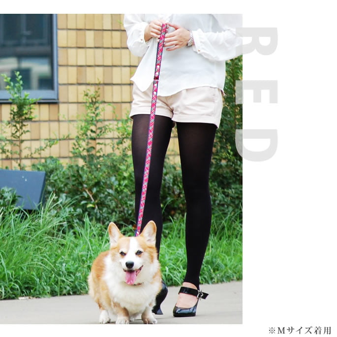 �������ѥ꡼�ɡ�ASHU���ȥ�åɡ��꡼�ɡ�S������