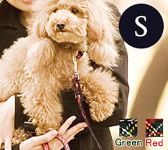 �������ѥ꡼�ɡ�ASHU���ȥ�åɡ��꡼�ɡ�S������