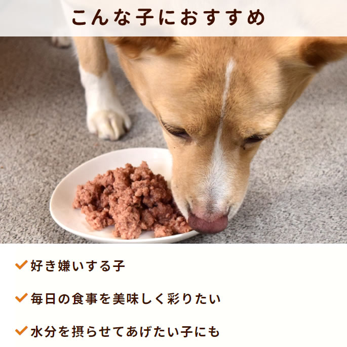 Pieceʥԡˤȥϥɥåȥ10̣åȡХ饨ƥåȡ