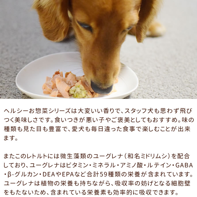 Pieceʥԡˤȥϥɥåȥ10̣åȡХ饨ƥåȡ