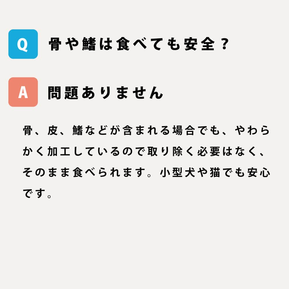 ǭѥȥȥѥ  񻺥亮ΤĤΩơ1150g30g5ġ/񻺥ФΤĤΩ1200g40g5ġ/񻺽ΤĤΩ1150g30g5ġ/åȡ100g