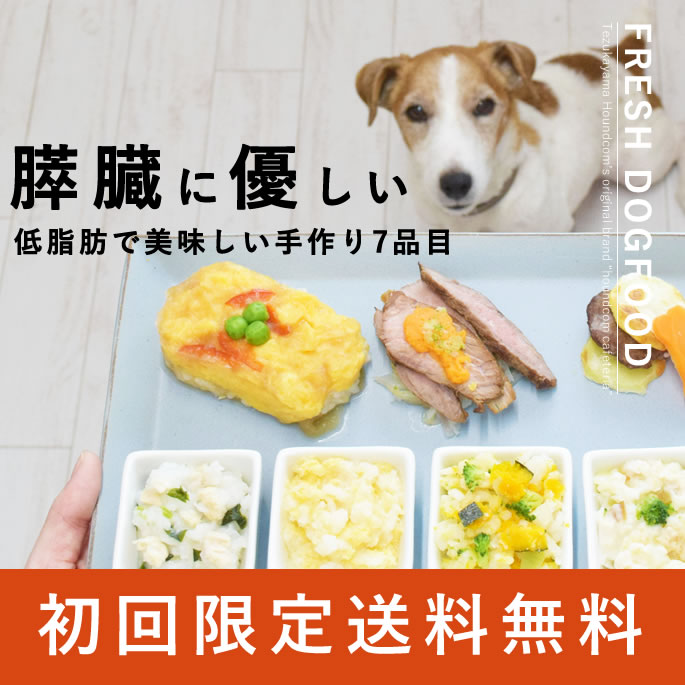 �ҤȤ����ƥ꡼��
