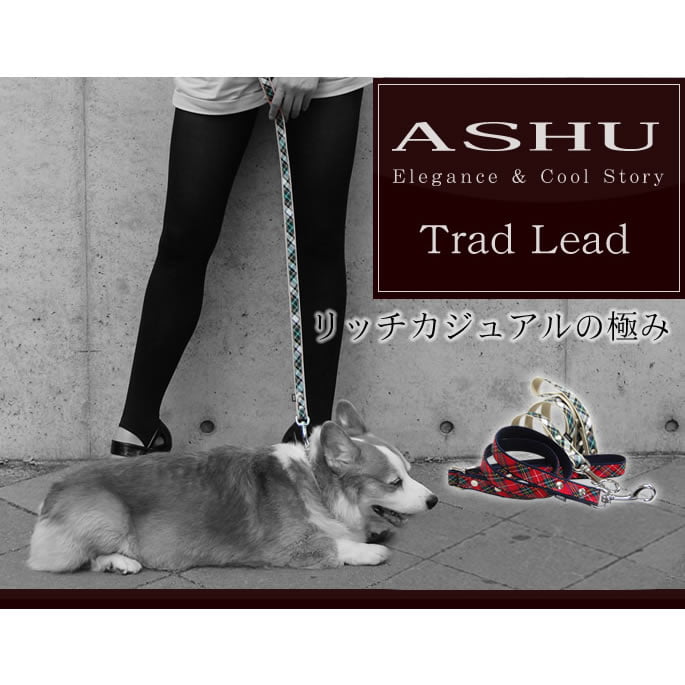 �淿���ѥ꡼�ɡ�ASHU���ȥ�åɡ��꡼�ɡ�M������