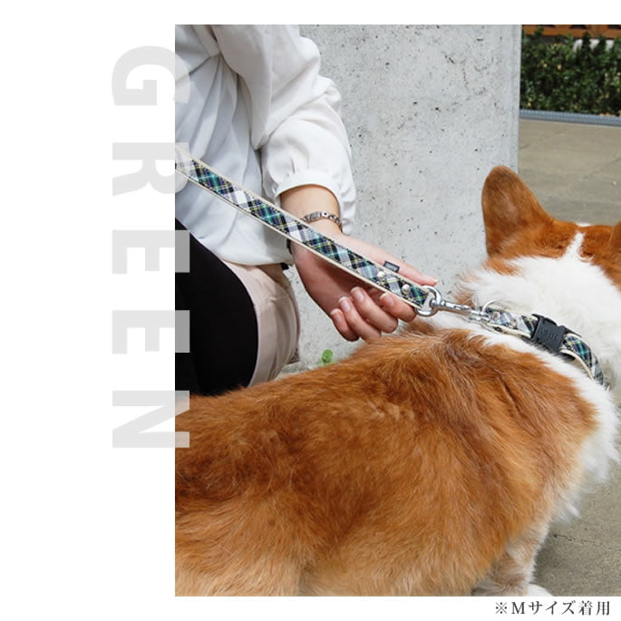 �淿���ѥ꡼�ɡ�ASHU���ȥ�åɡ��꡼�ɡ�M������