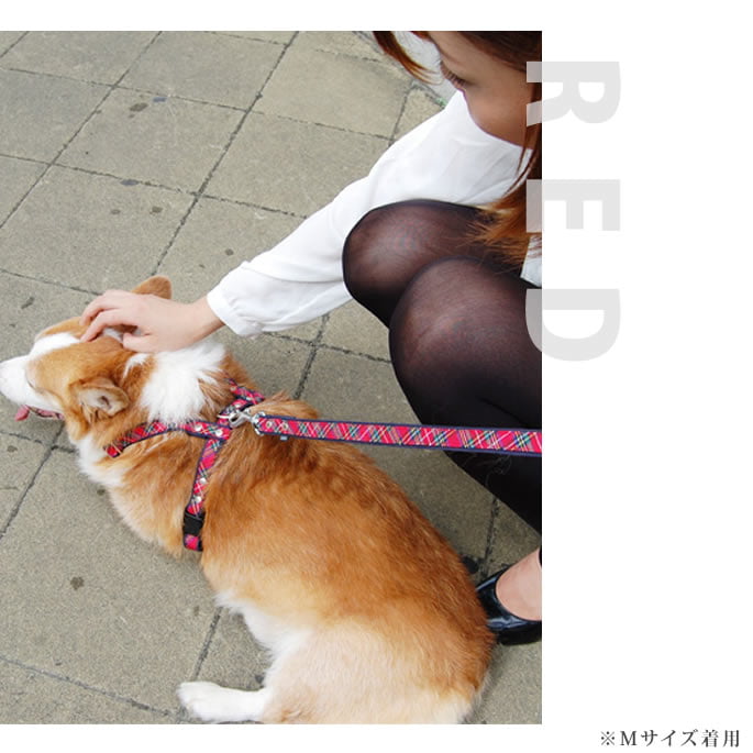 �淿���ѥ꡼�ɡ�ASHU���ȥ�åɡ��꡼�ɡ�M������