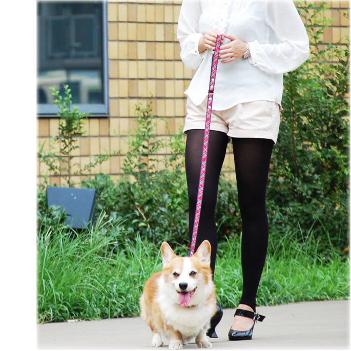 �淿���ѥ꡼�ɡ�ASHU���ȥ�åɡ��꡼�ɡ�M������