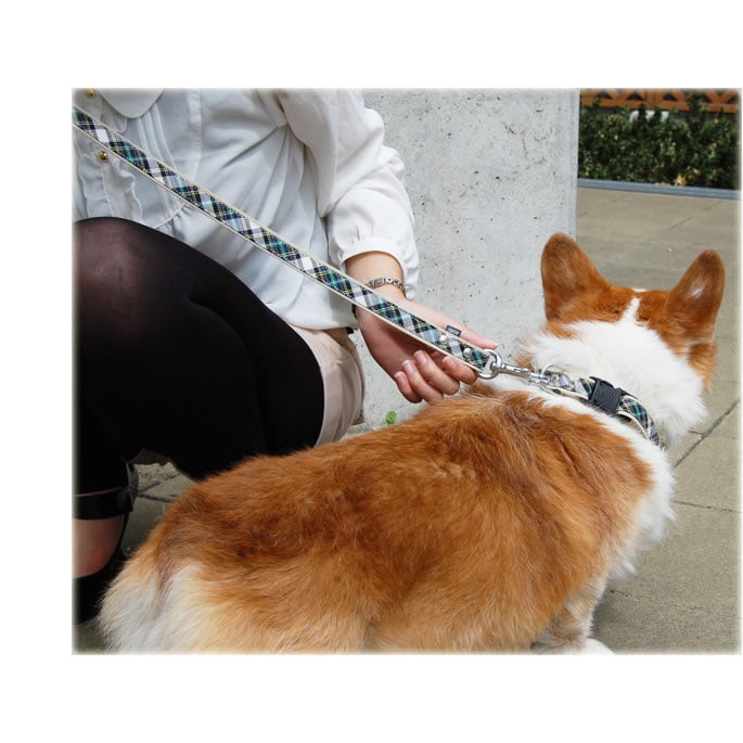 �淿���ѥ꡼�ɡ�ASHU���ȥ�åɡ��꡼�ɡ�M������