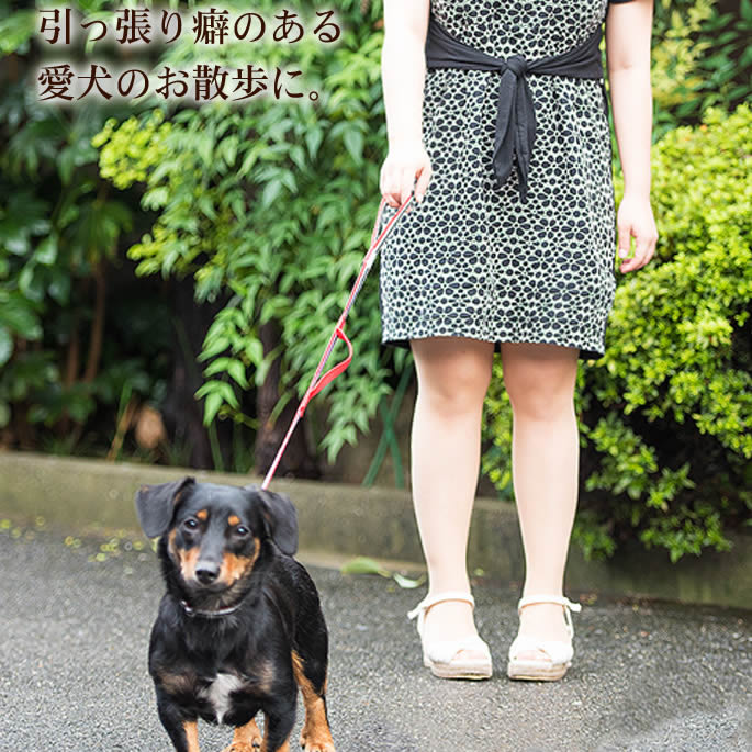 �������ѥ꡼�ɡ�ASHU���ȥꥳ������ �ġ��ϥ�ɥ꡼�� ��S��������