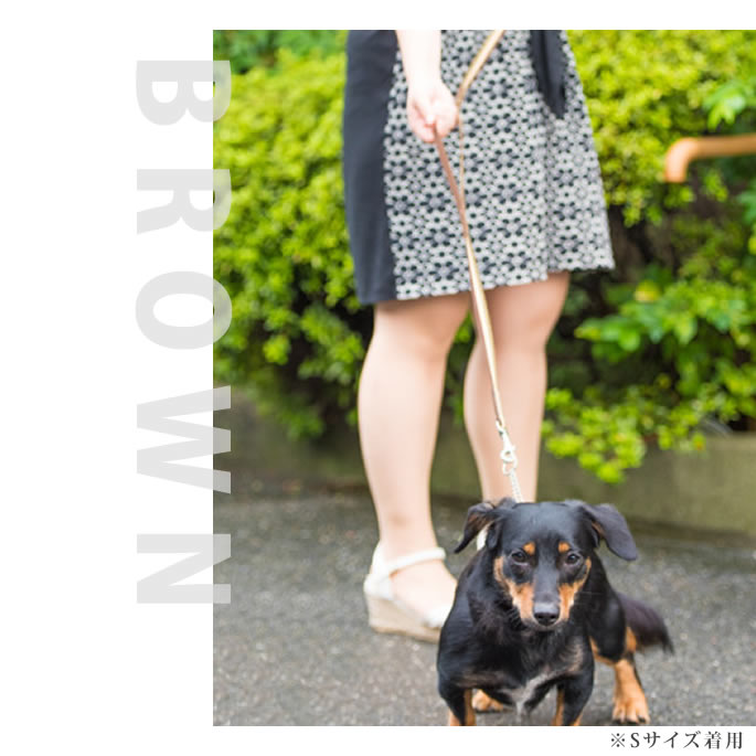 �������ѥ꡼�ɡ�ASHU���ȥꥳ������ �ġ��ϥ�ɥ꡼�� ��S��������