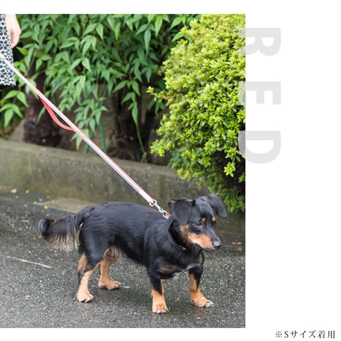 �������ѥ꡼�ɡ�ASHU���ȥꥳ������ �ġ��ϥ�ɥ꡼�� ��S��������