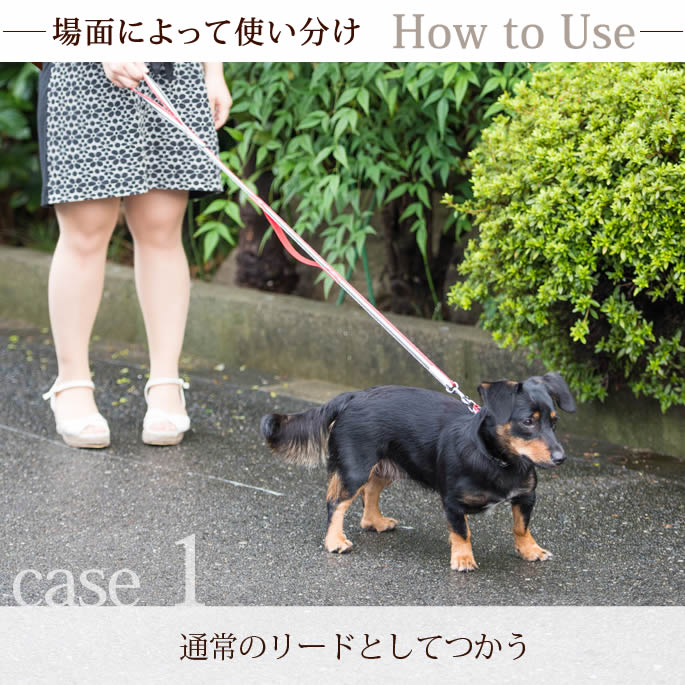 �������ѥ꡼�ɡ�ASHU���ȥꥳ������ �ġ��ϥ�ɥ꡼�� ��S��������