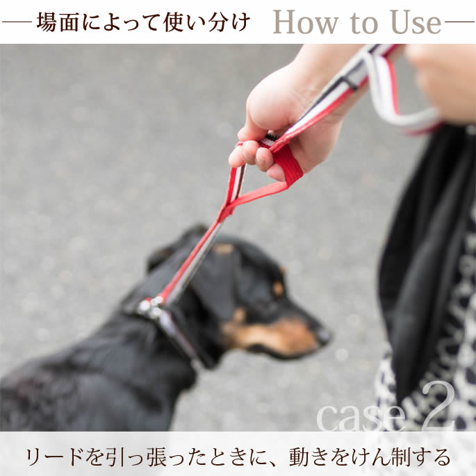 �������ѥ꡼�ɡ�ASHU���ȥꥳ������ �ġ��ϥ�ɥ꡼�� ��S��������