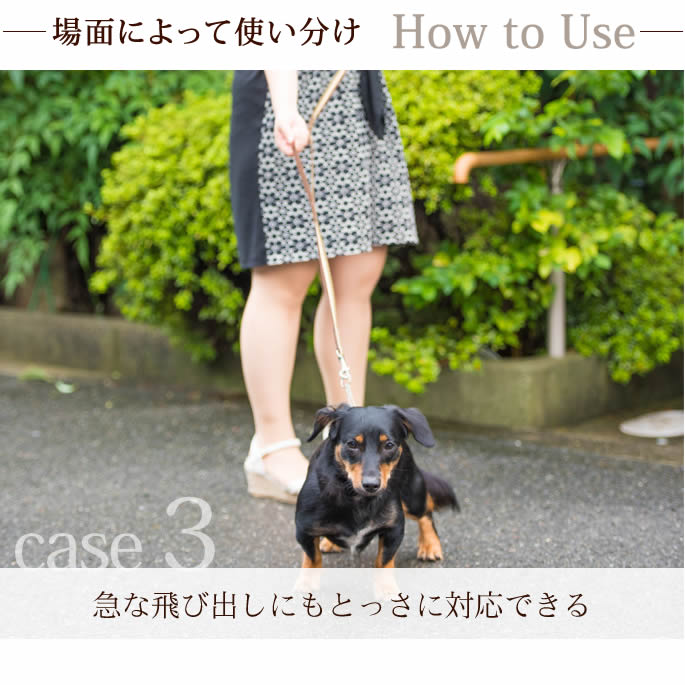 �������ѥ꡼�ɡ�ASHU���ȥꥳ������ �ġ��ϥ�ɥ꡼�� ��S��������