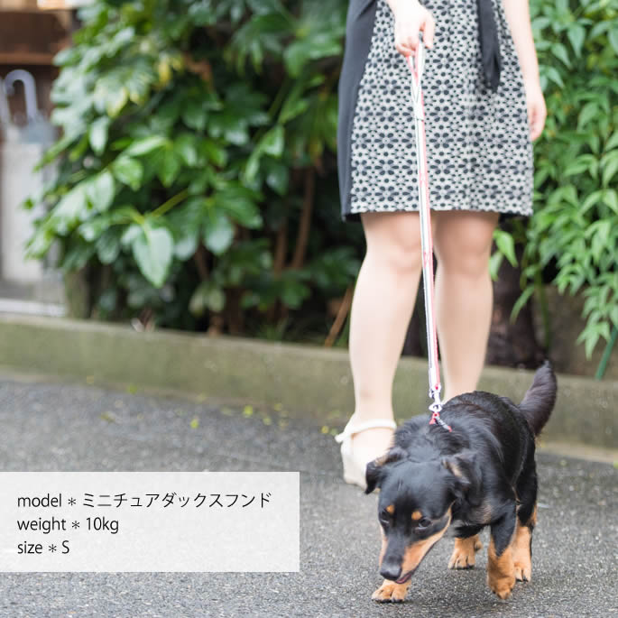 確認用　おこる カトリ－ヌ・ドルト・トリッチ 犬と生活 Lトリコチェック カラー・リード / 中・大型犬用の