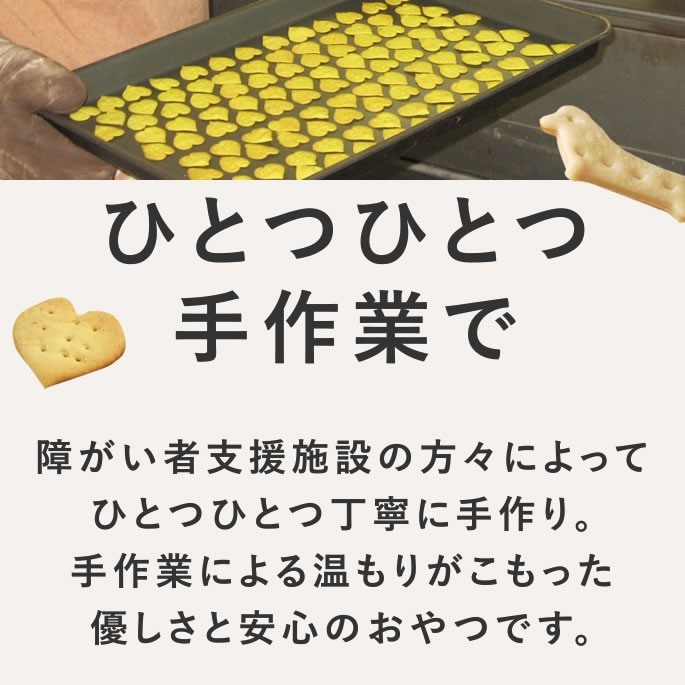 ���ѥ��å����å��ꥸ�ʥ륯�å������ե����ץ饹