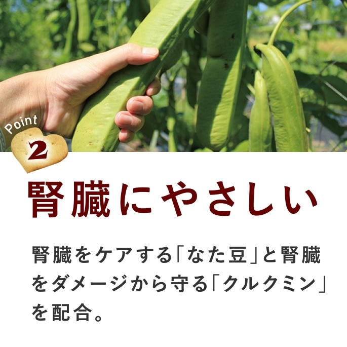 ���ѥ��å����å��ꥸ�ʥ륯�å������ե����ץ饹