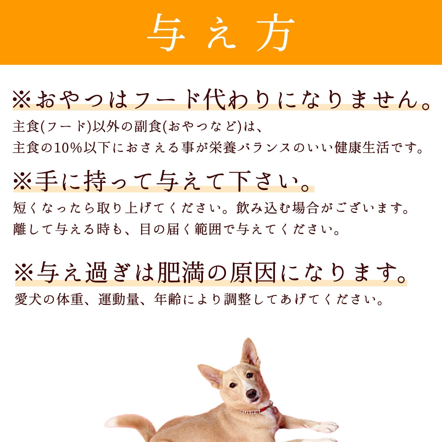 ���Ѥ���ġåǥ󥿥뤪��ĥ��åȡ�̵ź�ä���ĥ��å�