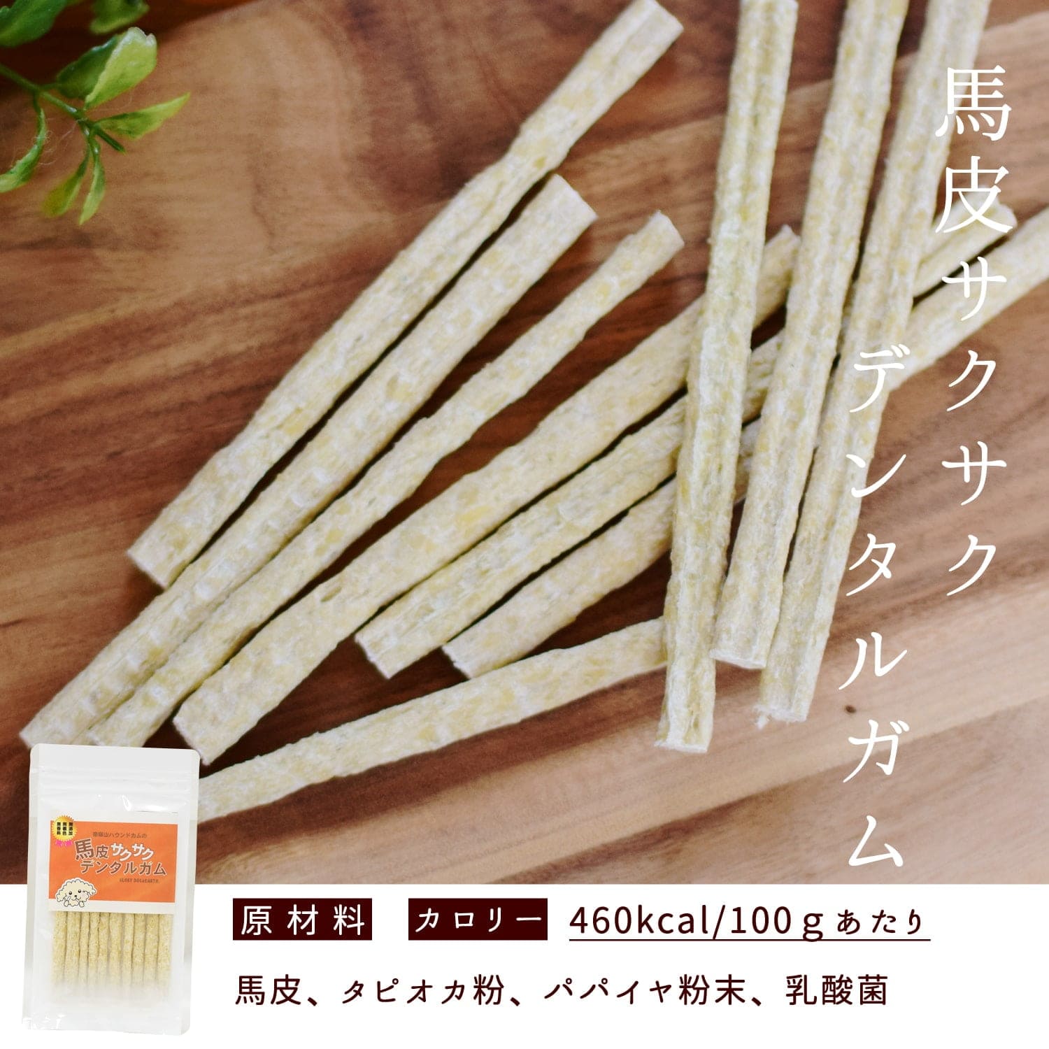 ���Ѥ���ġåǥ󥿥뤪��ĥ��åȡ�̵ź�ä���ĥ��å�