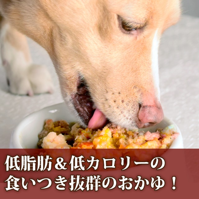 Ū̥꡼۰ΰ¿ȥȤϤ 㥫꡼桡ߤ2Ḥ̂å(1)/ߤȶ̻ҤΤ+ȤܤΥߥ륯桡󤫤