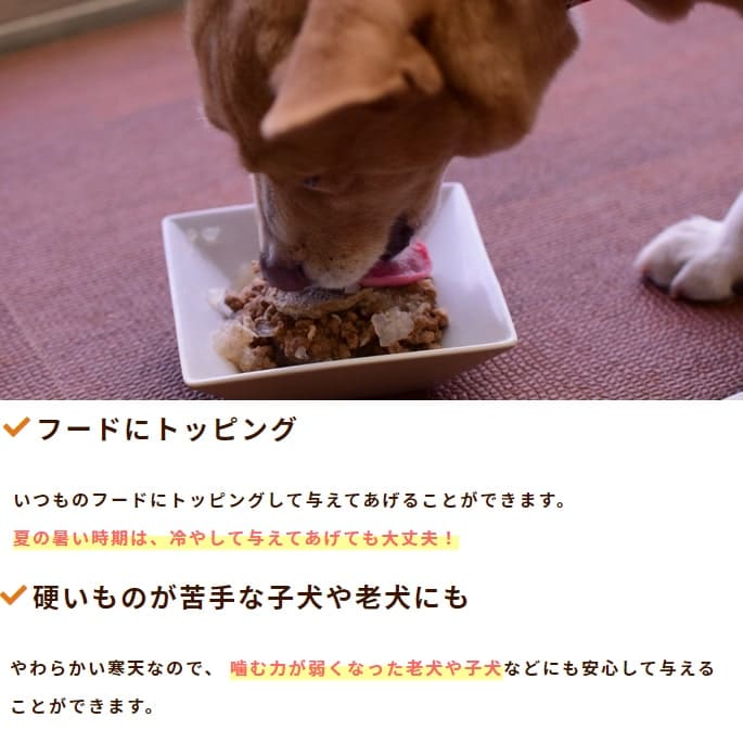 ڰѡ ŷ顼󥼥꡼ȥȿ