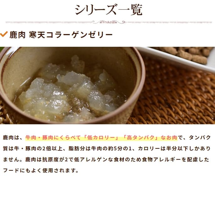 ڰѡ ŷ顼󥼥꡼ȥȿ