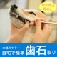 ǭѻмꥹ顼/ڥ/a02692ưʪѰŵ¤ġ26ŭ101