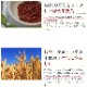 ǭ�� ������ǭ�ѥӥå��ɥå��ڥ������1.38kg(115g��12����)��������