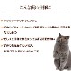 ǭ�� ������ǭ�ѥӥå��ɥå��ڥ������1.38kg(115g��12����)��������