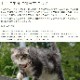 ǭ�� ������ǭ�ѥӥå��ɥå��ڥ������1.38kg(115g��12����)��������