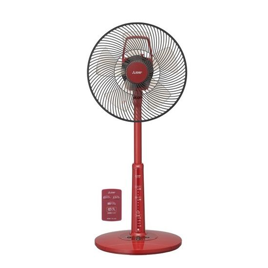 R30J-RB-R ��ɩ�ŵ� ������ ��ӥ��� ��⥳���դ�