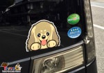 【bamboo angle】乗ってるよサインステッカー