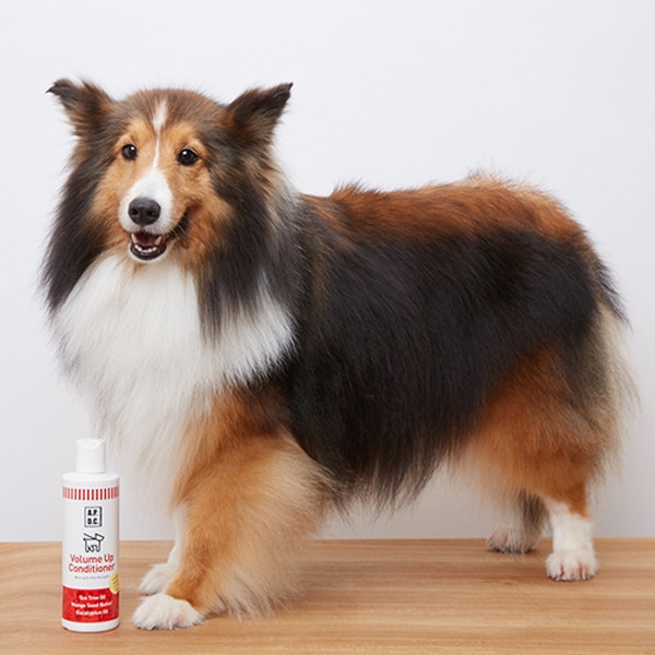 ティーツリー　コンディショナー5L 大型犬 ティーツリー コンディショナー5L 大型犬 ティーツリー