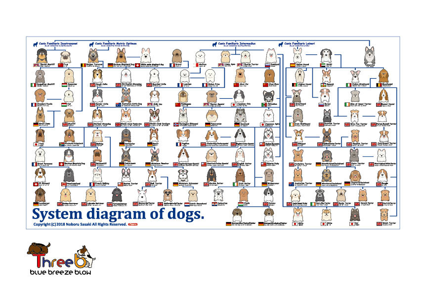 めす犬の秘図 世界の犬図鑑 : 人気犬種ベスト165 - メルカリ