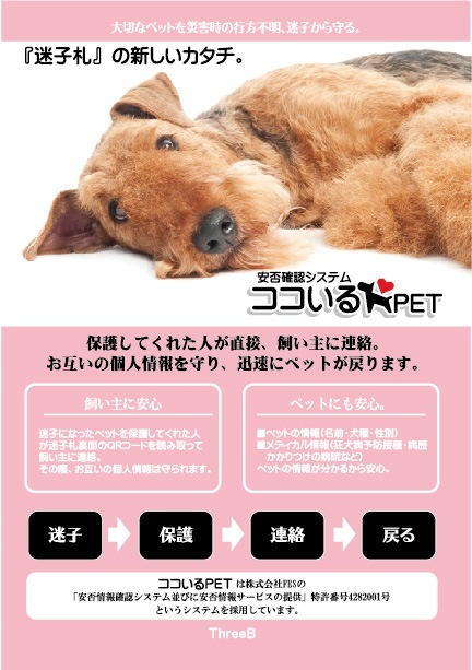 【ココいるPET】QRコード迷子札　幼稚園名札風全5色 日本初の画期的な特許システム