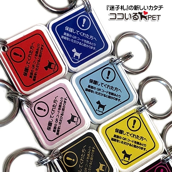 迷子札 QRコード迷子札【ココいるPET】カラフルシリーズ全五色 日本初