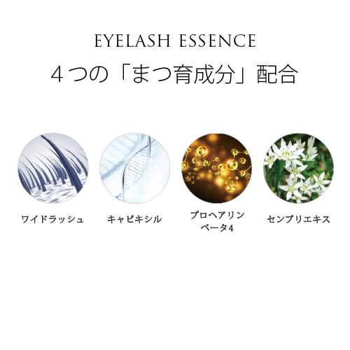 �����饤�ʡ� �ӥ塼�ƥ��� �ꥭ�åɥ����饤�ʡ����֥饦��