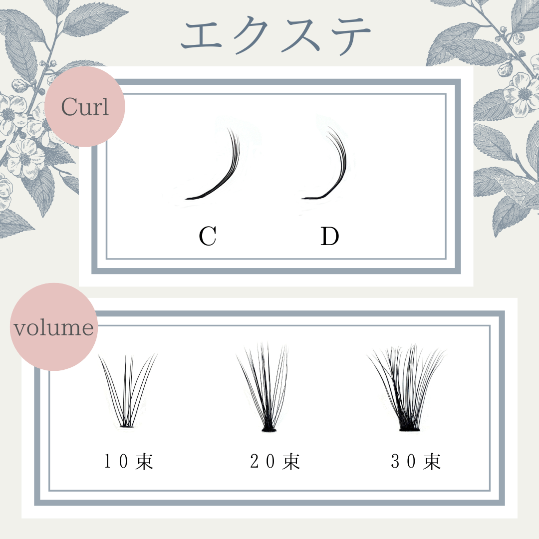 �֥���ӥ����״ƽ�����������դޤ��ӥ�������5�����å�