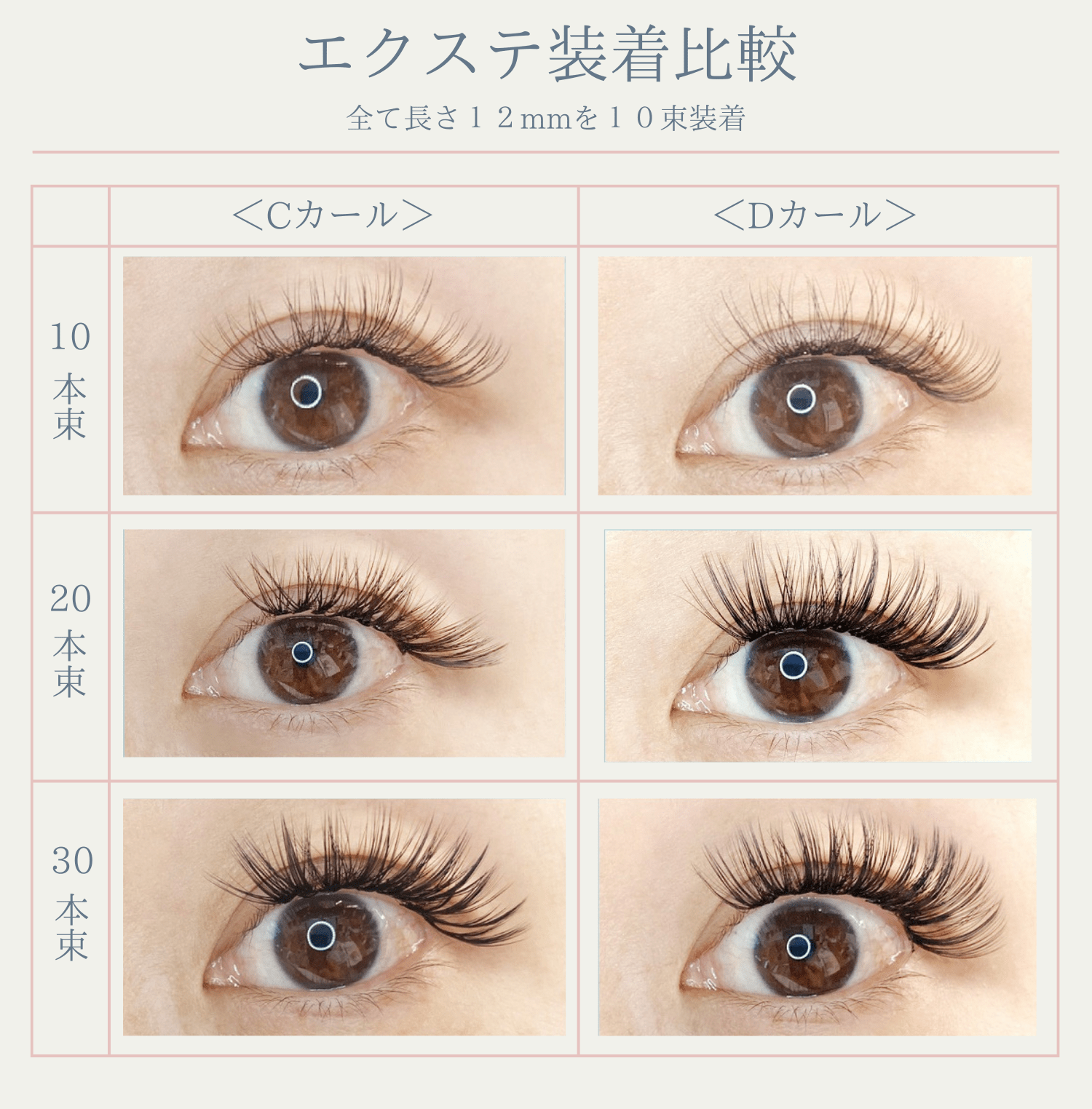 �֥���ӥ����״ƽ�����������դޤ��ӥ�������5�����å�