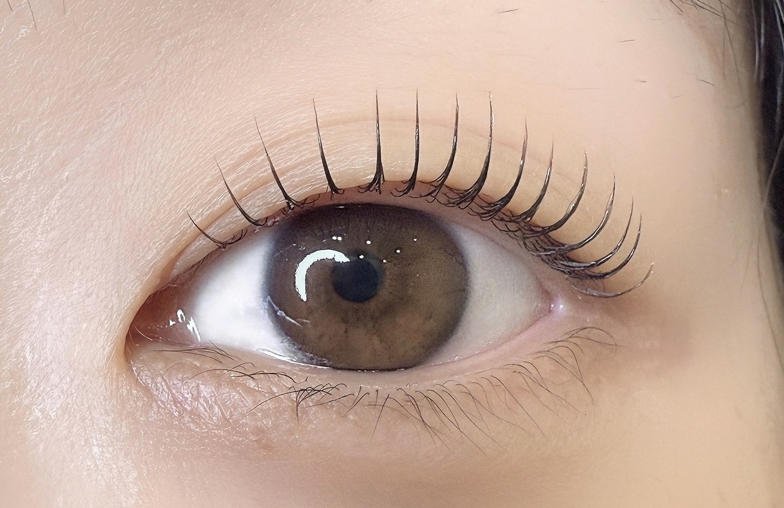 �ȳ��ǰ��͡��ޥ󥴡����å� ��͵�!!����δڹ���å�-����͢������Ź-��mestay�� 5���������å�