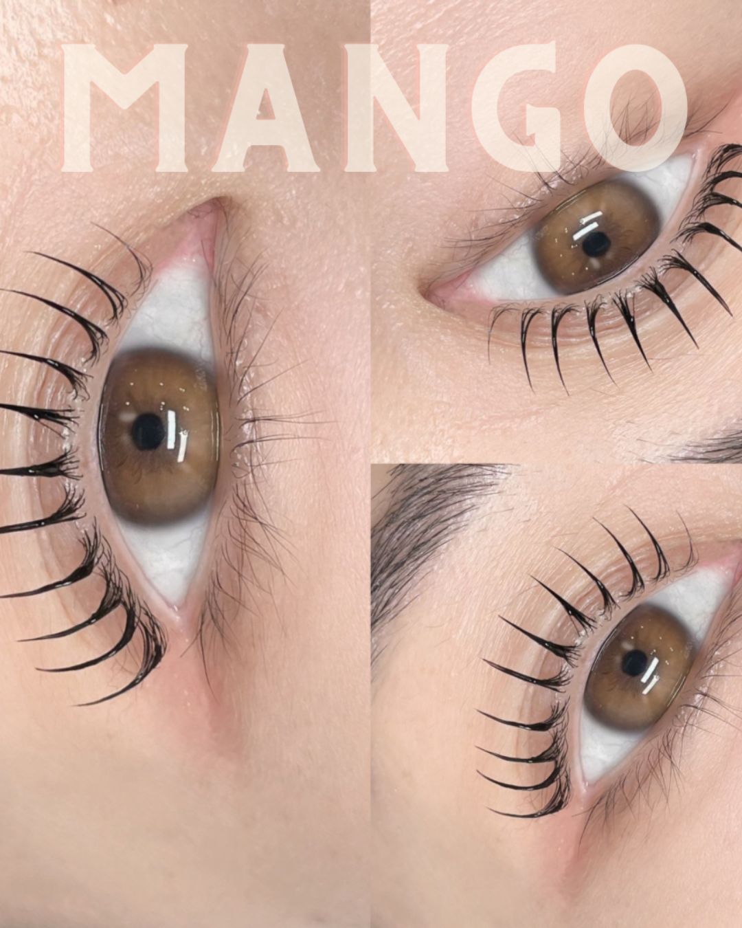 �ȳ��ǰ��͡��ޥ󥴡����å� ��͵�!!����δڹ���å�-����͢������Ź-��mestay�� 5���������å�