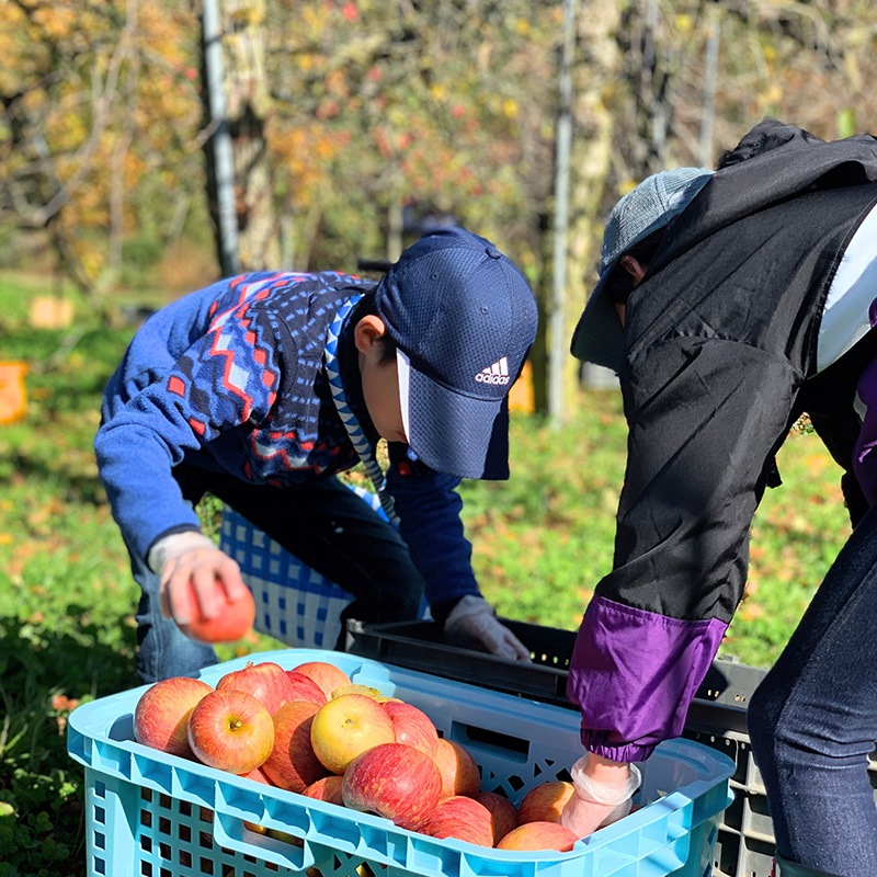スキッと最高の乾杯セット（シードル／ジュース）2本セット [al
