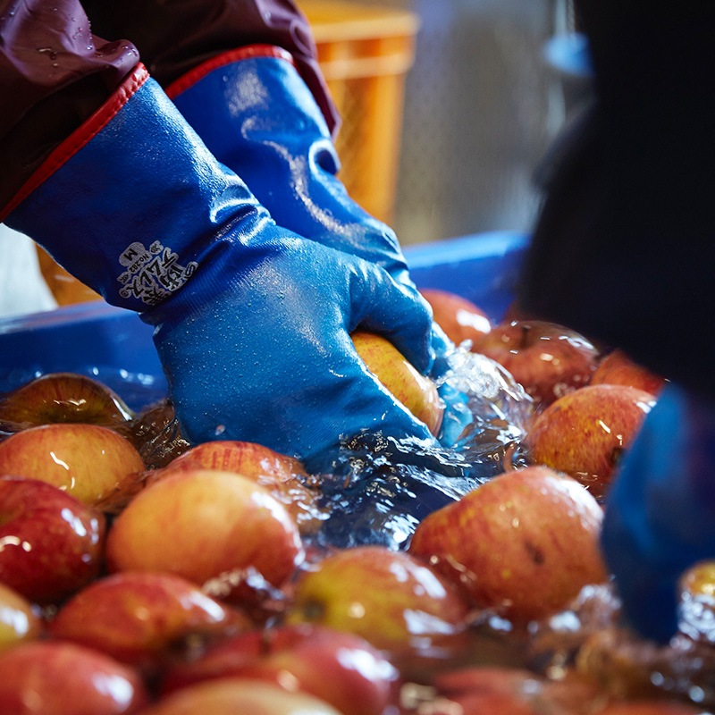 スキッと最高の乾杯セット（シードル／ジュース）2本セット [al