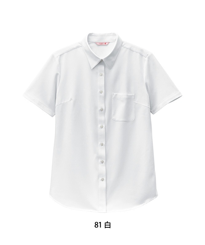 �˥åȥ����Ⱦµ[����][�ܥ��ȥ󾦲�����]��23243