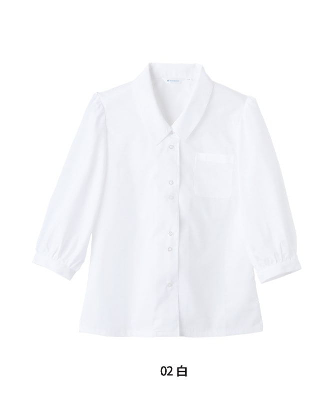 �֥饦����ǥ�����ʬµ[�������֥������]��BS2101-2