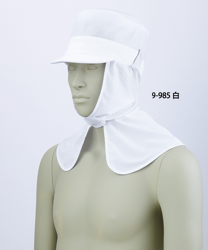 åŷ˹ҥ[˽][֥]9-985