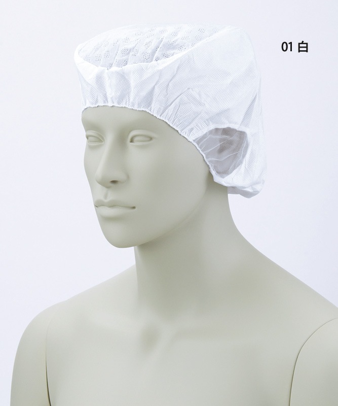 쥯ȥå˹(ĥ̵)(20Բľ)[˽][֥]EC-1