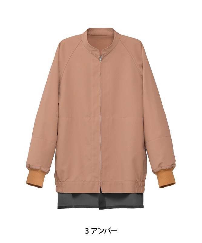 ������Ĺµ[�˽�����][���֥��˥ե���������]��BA1092