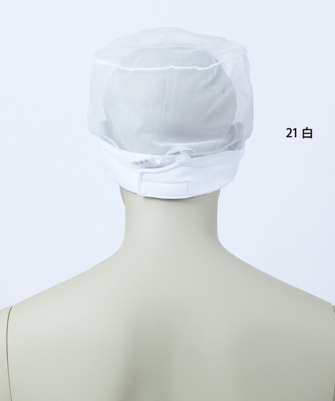 إͥå(۴ե饤)(10Բľ)[˽][֥]HN-21