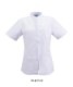ݥץǥĴȾµ[KAZEN]338-70